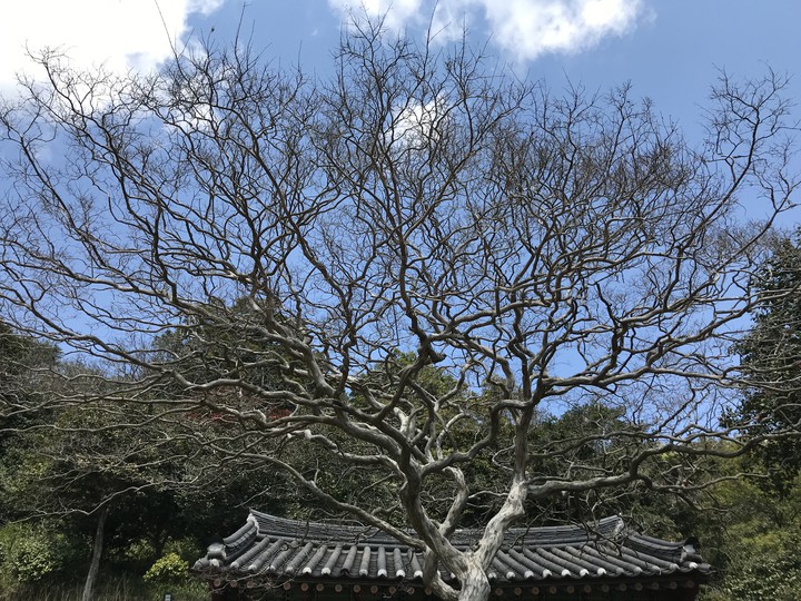 사찰