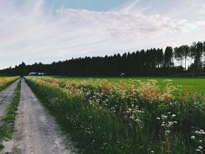 Field