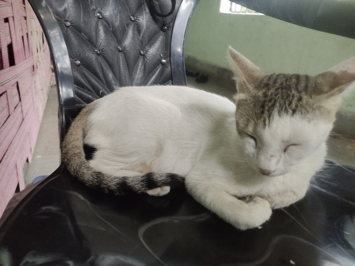 Don't Disturb me ?