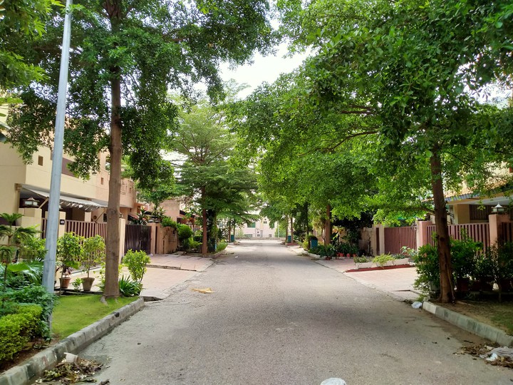 Beautiful road with greenery