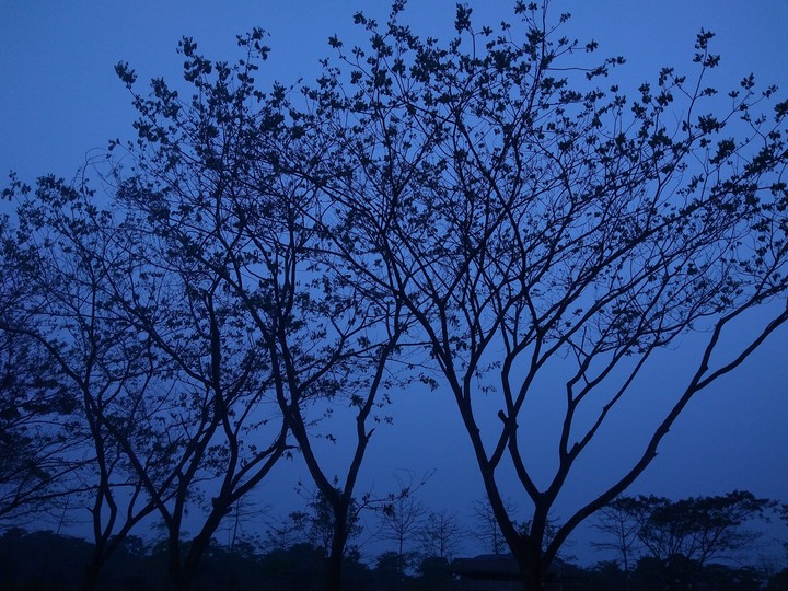 Scenary