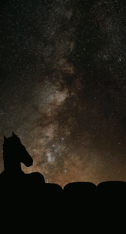BoJack Horseman