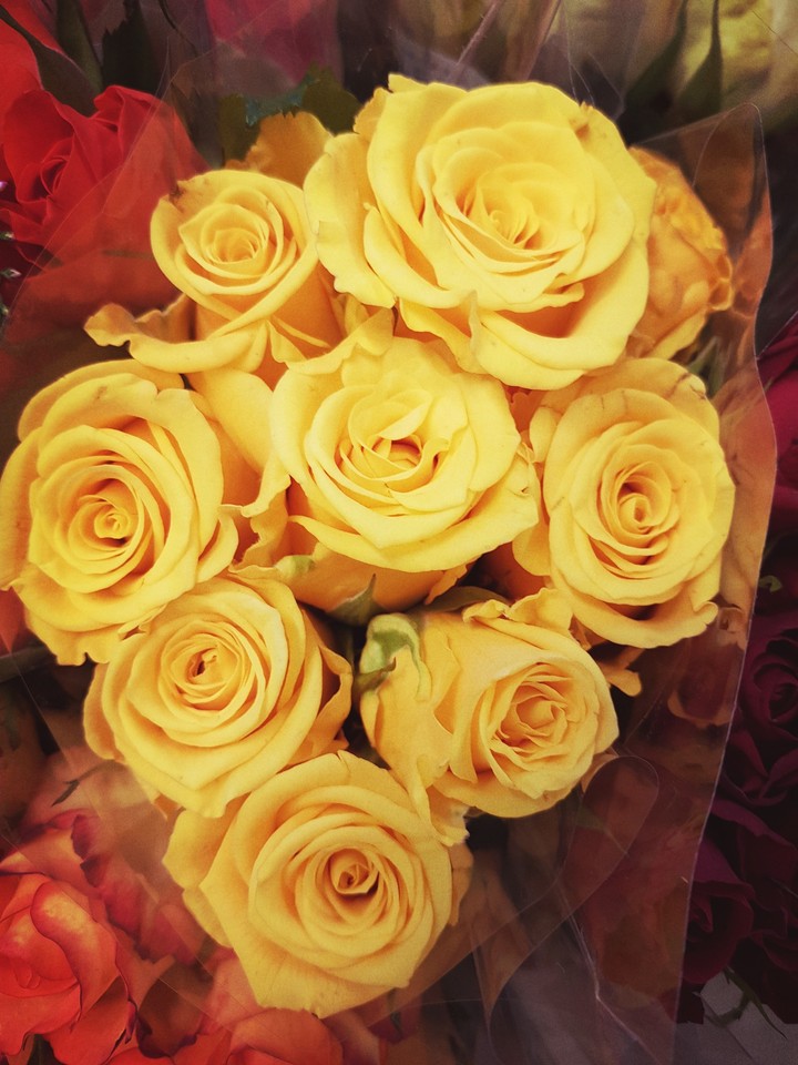 roses