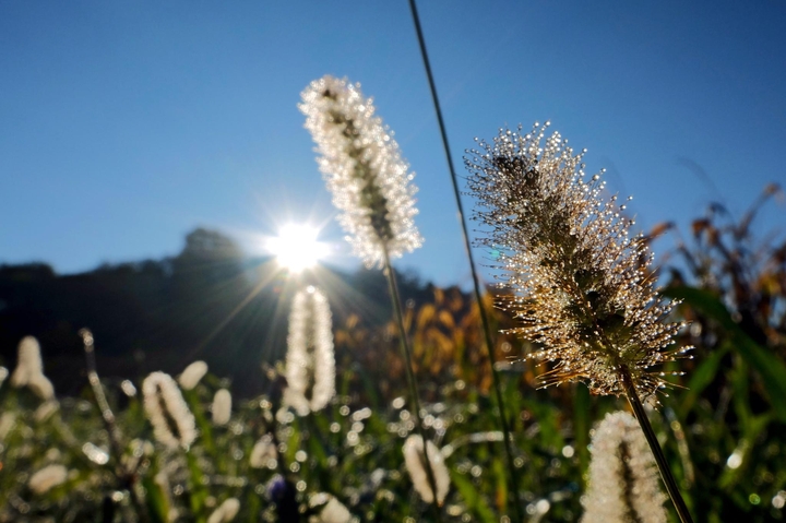 고요하고 평화로운 이 날