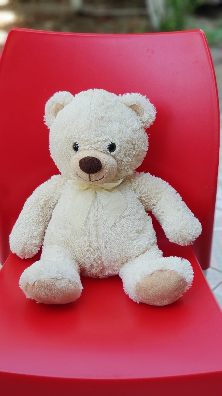 my daughter's Ted