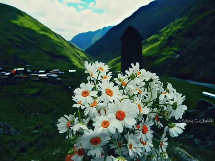 georgia ♡♡♡