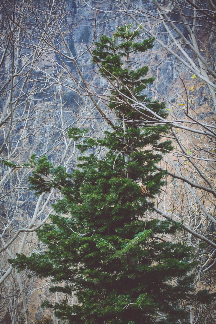 green