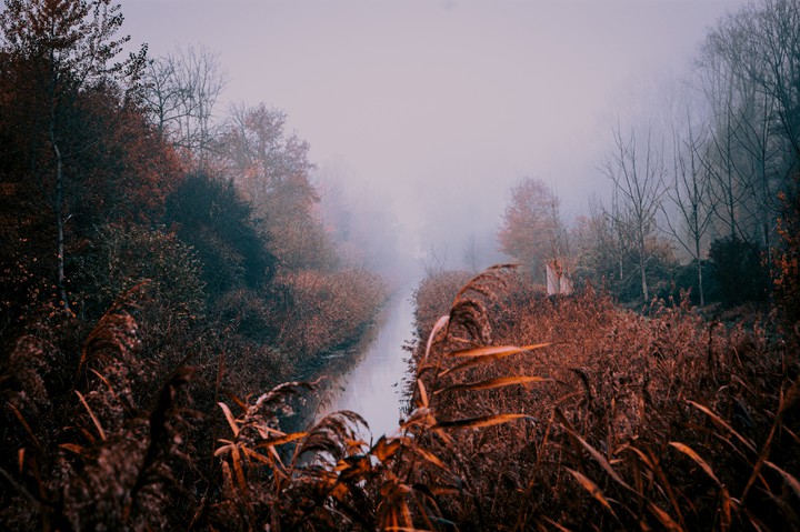 lost