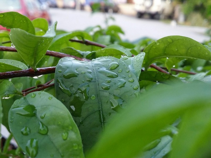 focus camera can make perfect picture