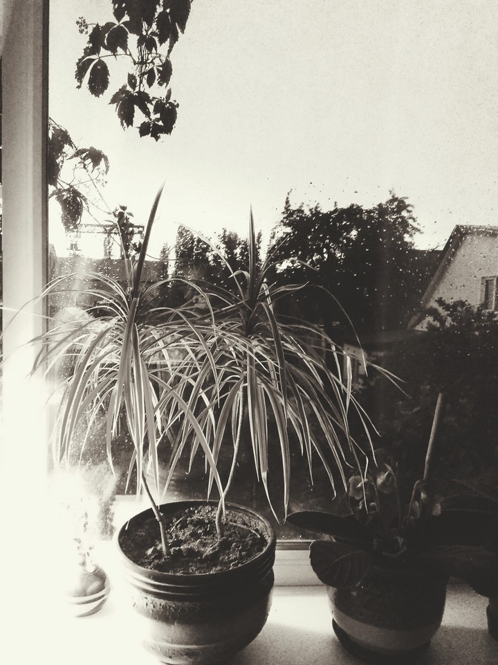 Rain outside