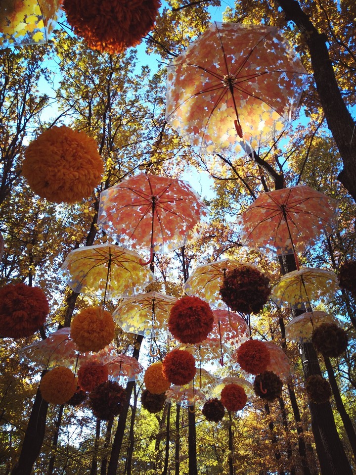 зонтик