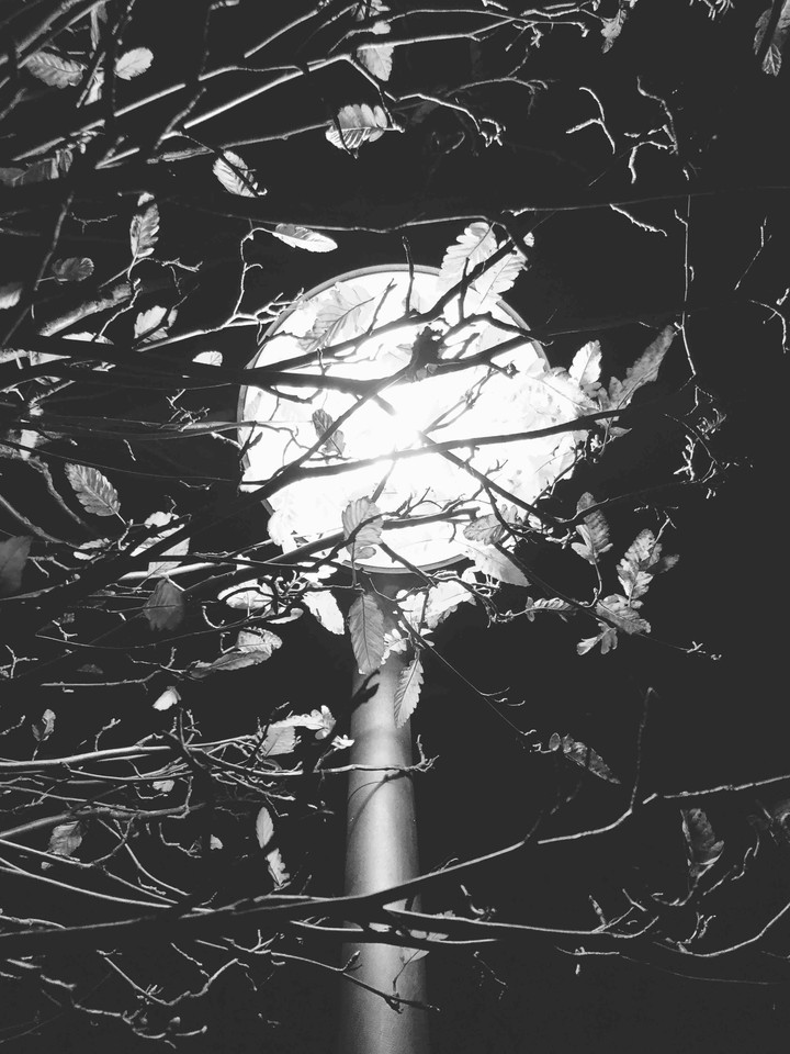 Light in the black