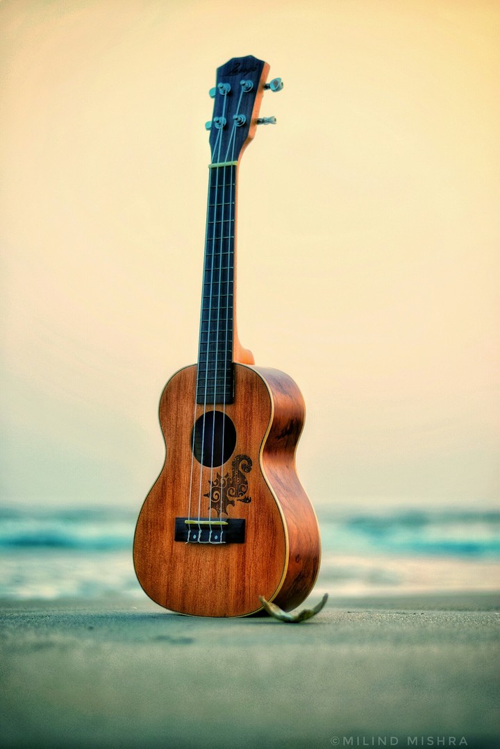 Nature and Music 