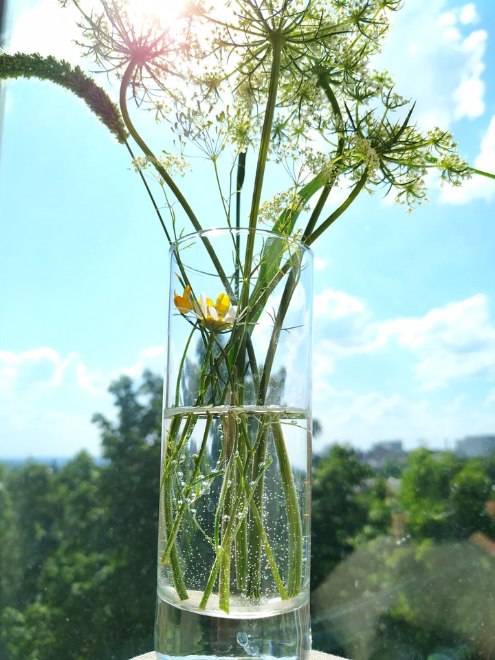 lovely summer