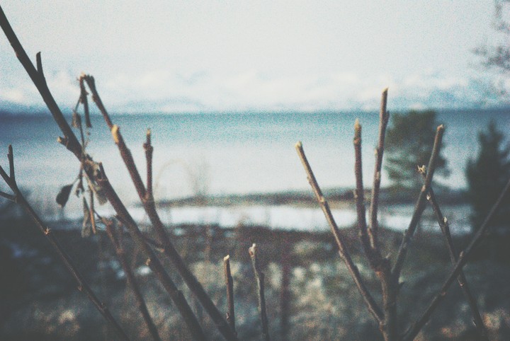 early spring