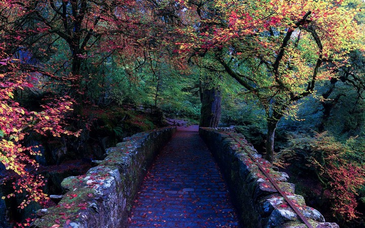 Beautiful Scenery
