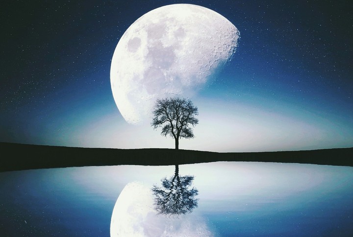 moonlight