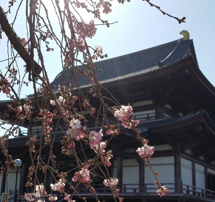 花と寺