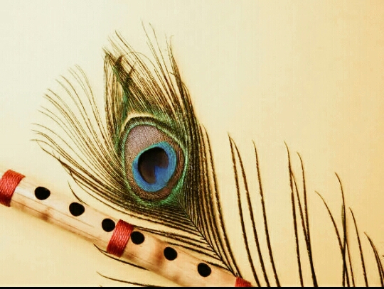 Krishna