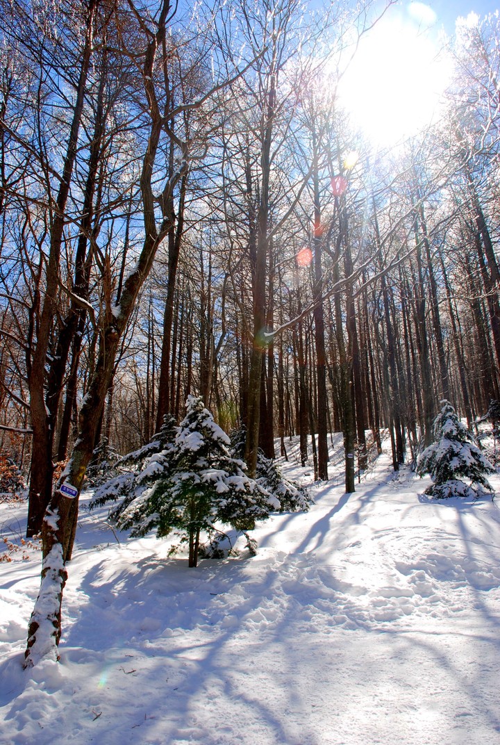 winter2