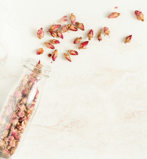 обои seed, spice