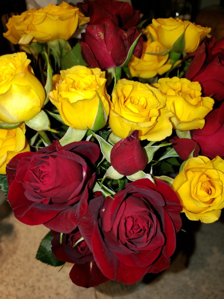 rosas