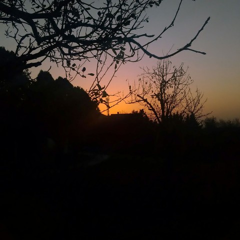 Morniing