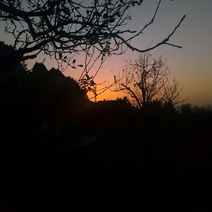 Morniing