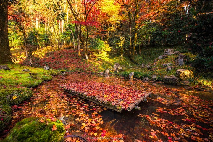 Autumn in japan