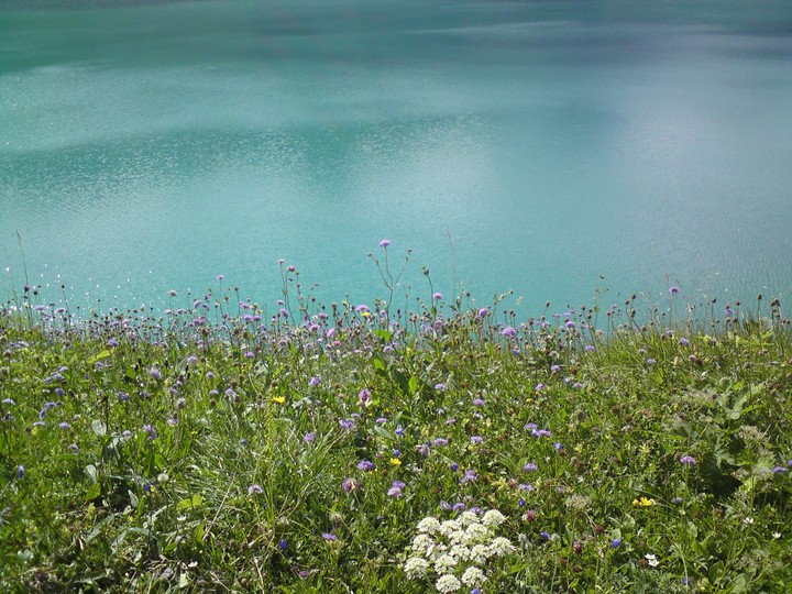 Lüner See