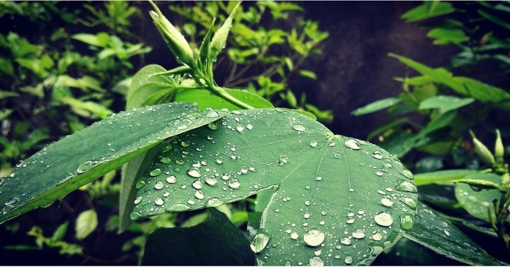 #Rain drops