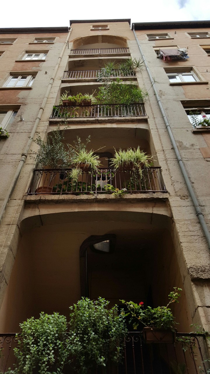 planted building
