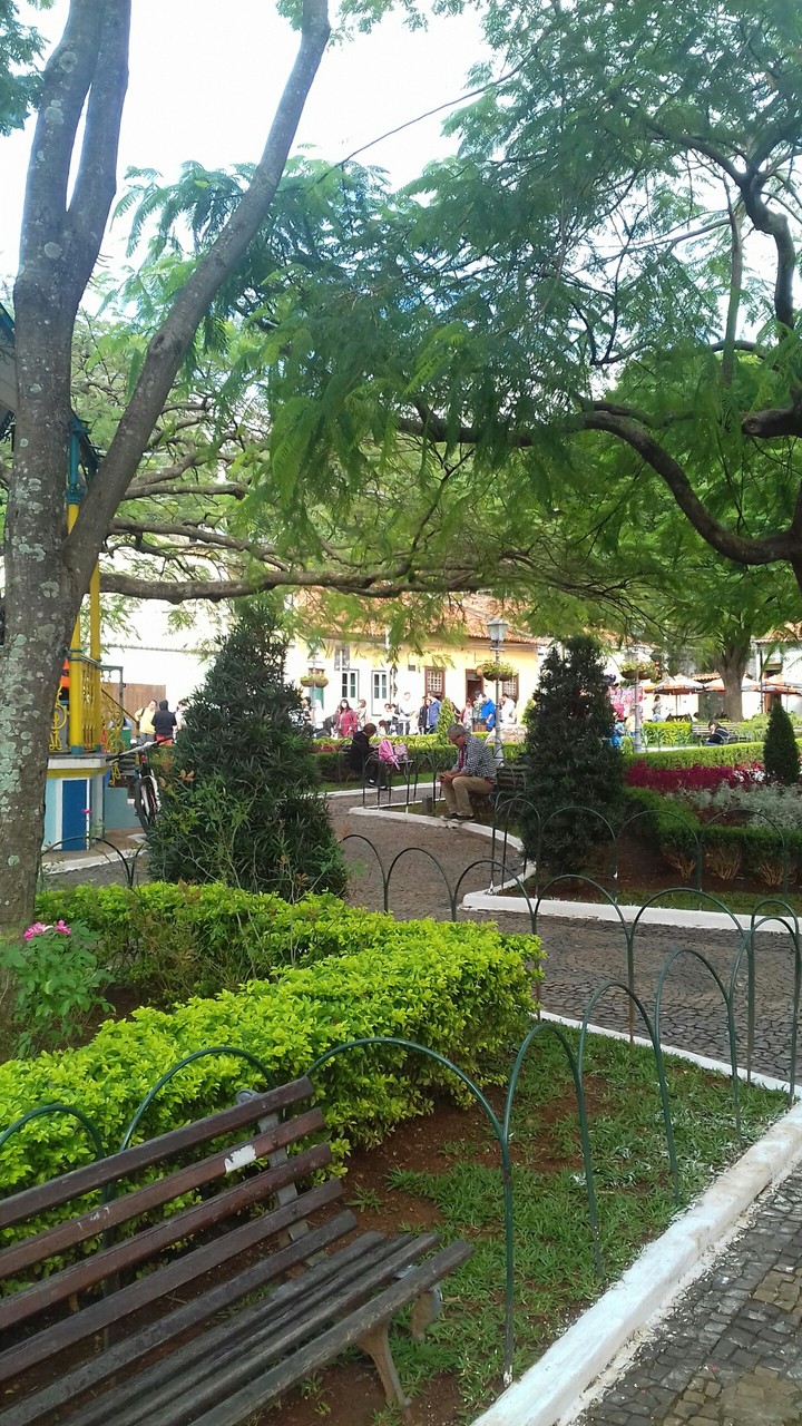 Jardim