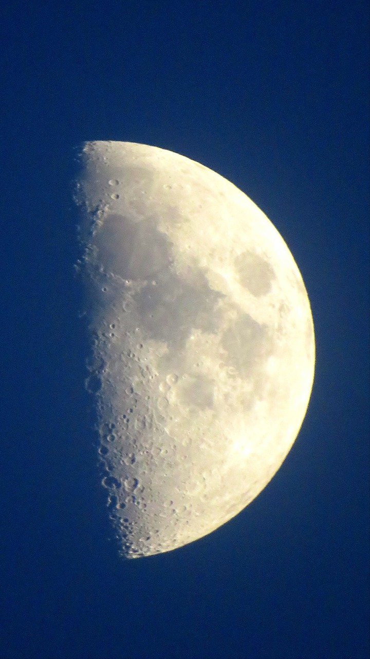moon❤