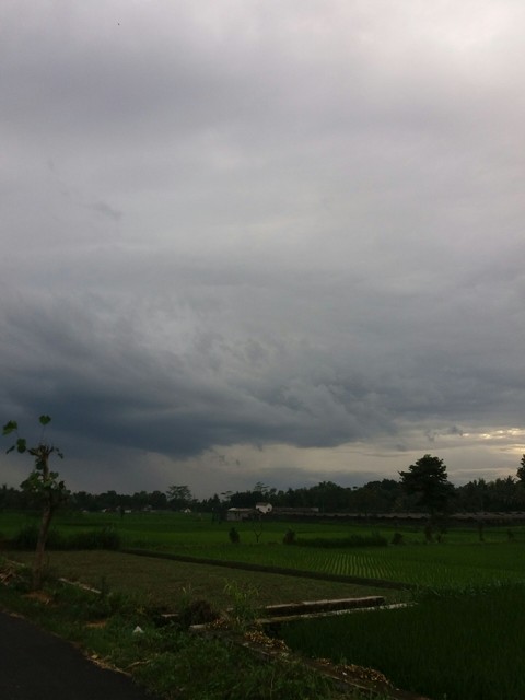wind, panorama वॉलपेपर
