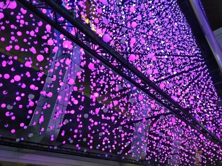 Vivid Lights Festival