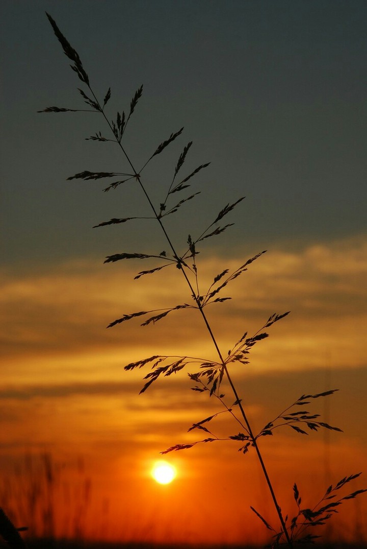 evening is the best past of the day