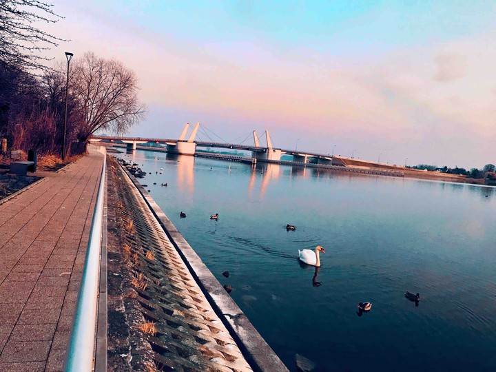 bridge