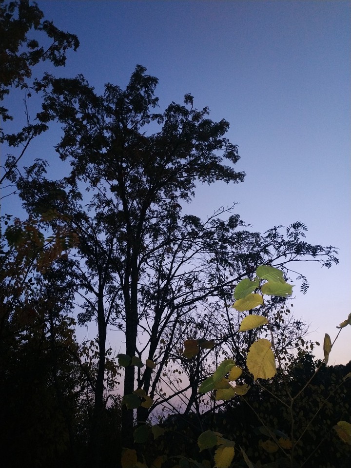 night October
