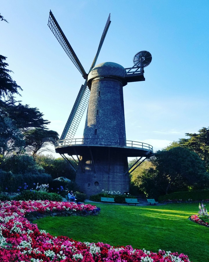 the windmill