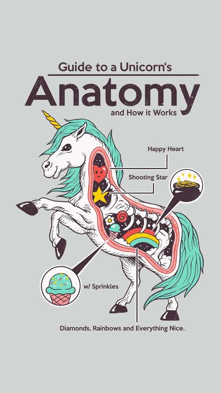 unicorns' anatomy