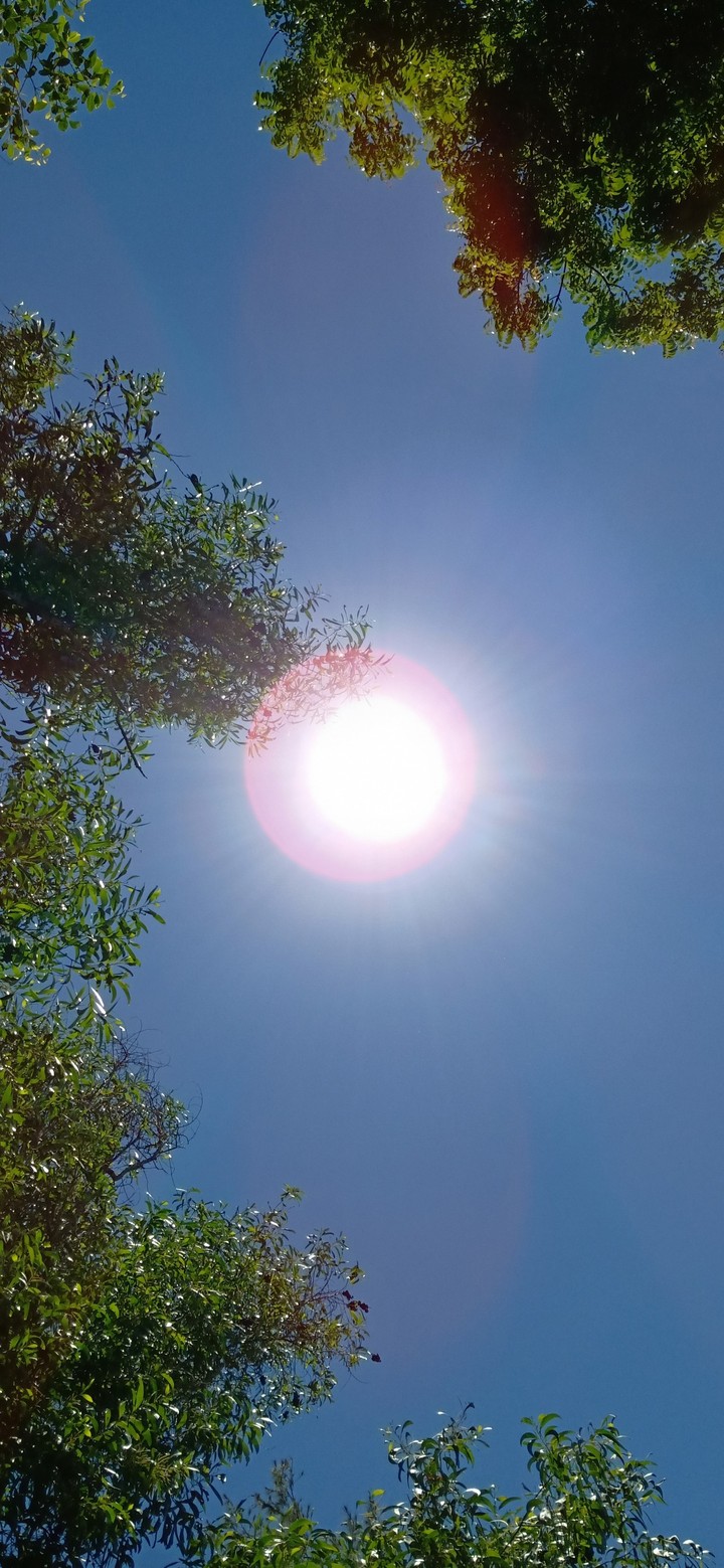 #Sun