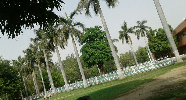 mhhh college....