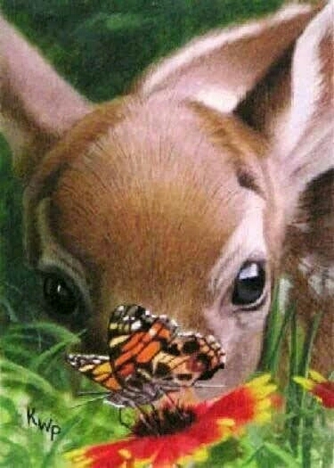 Bambi de Walt Disney