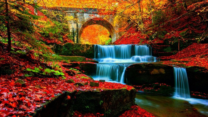 natural beauty is beauty