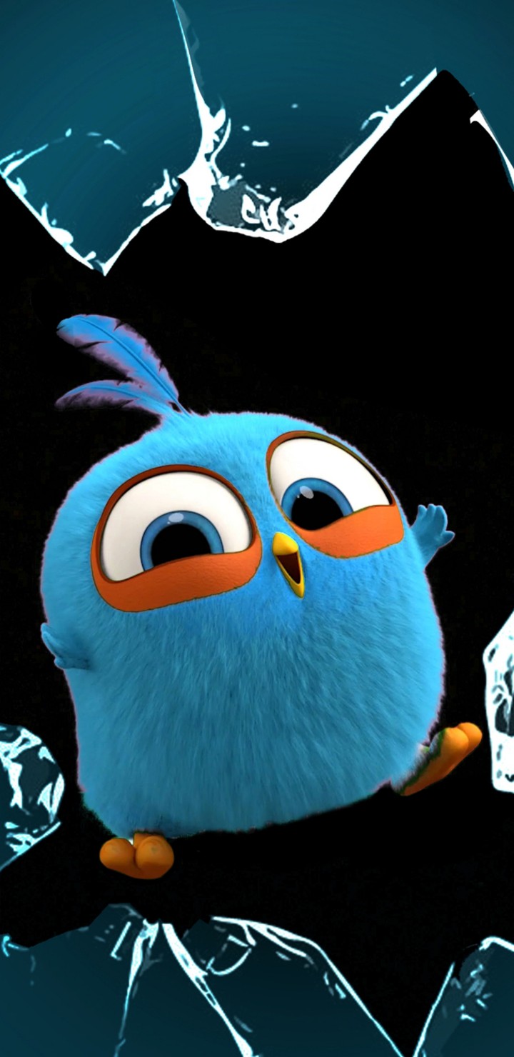 animated blue bird