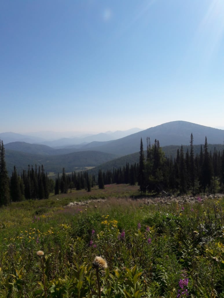 Mountain