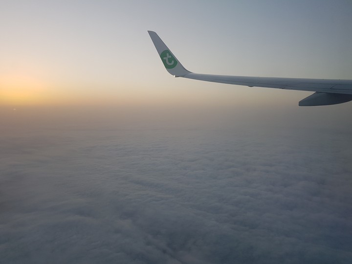flight