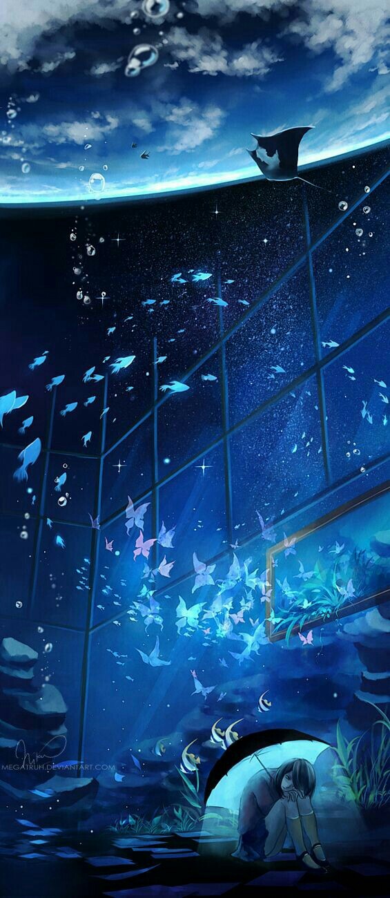 night