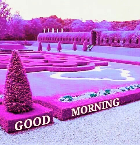 GOOD MORNING